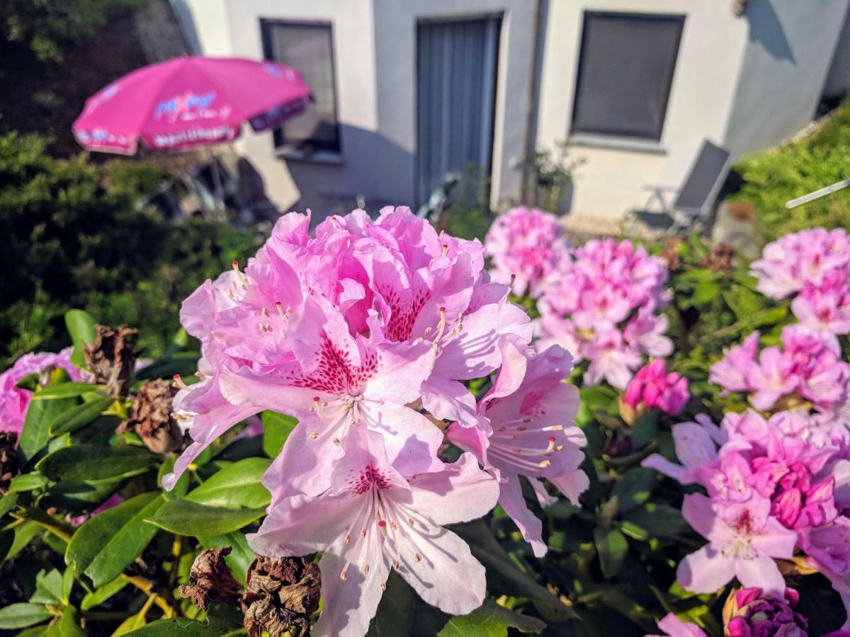 Ferienwohnung Mit Terrasse Grimma Esterno foto